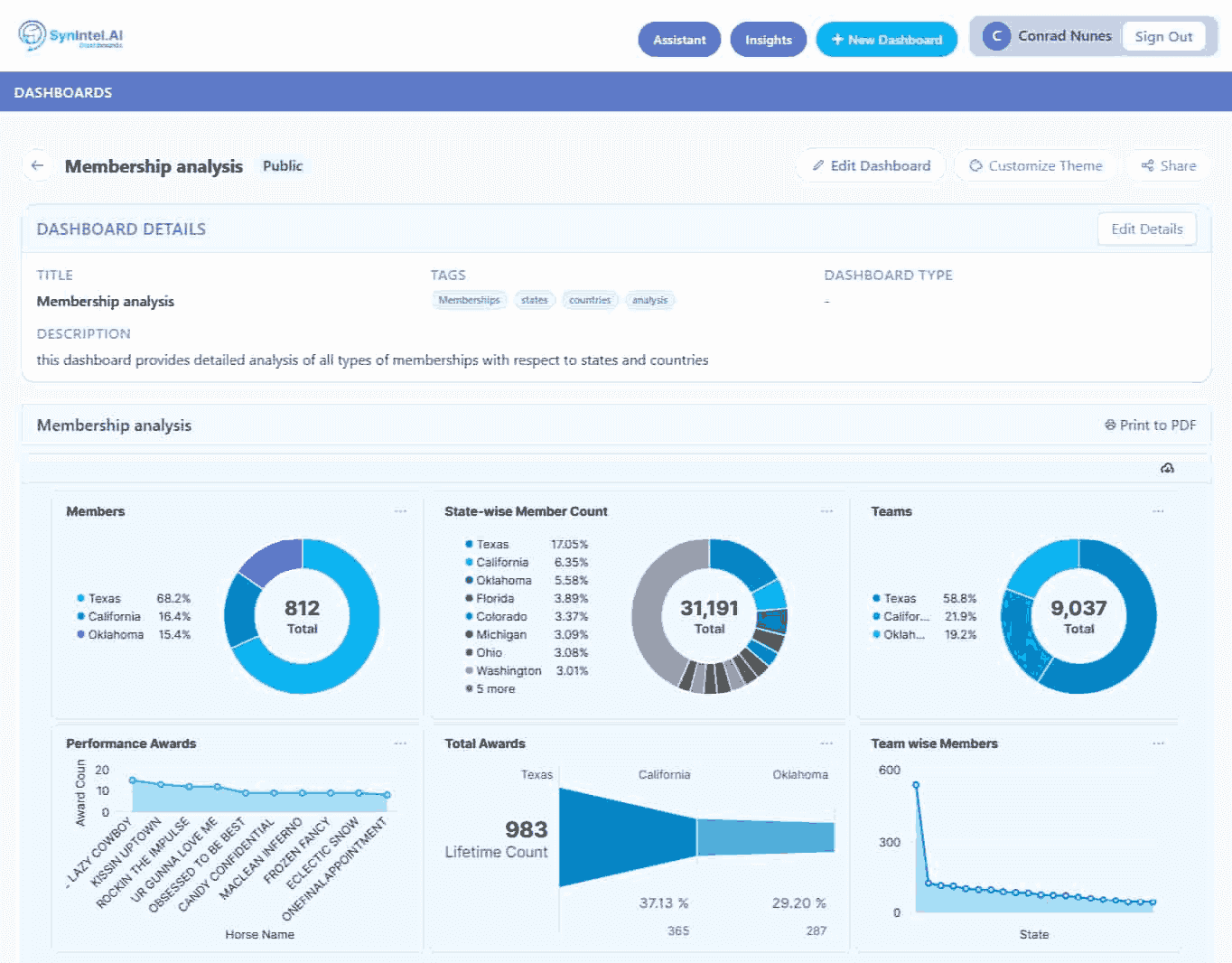 SynIntel AI-powered enterprise intelligence dashboard with real-time business insights and executive analytics